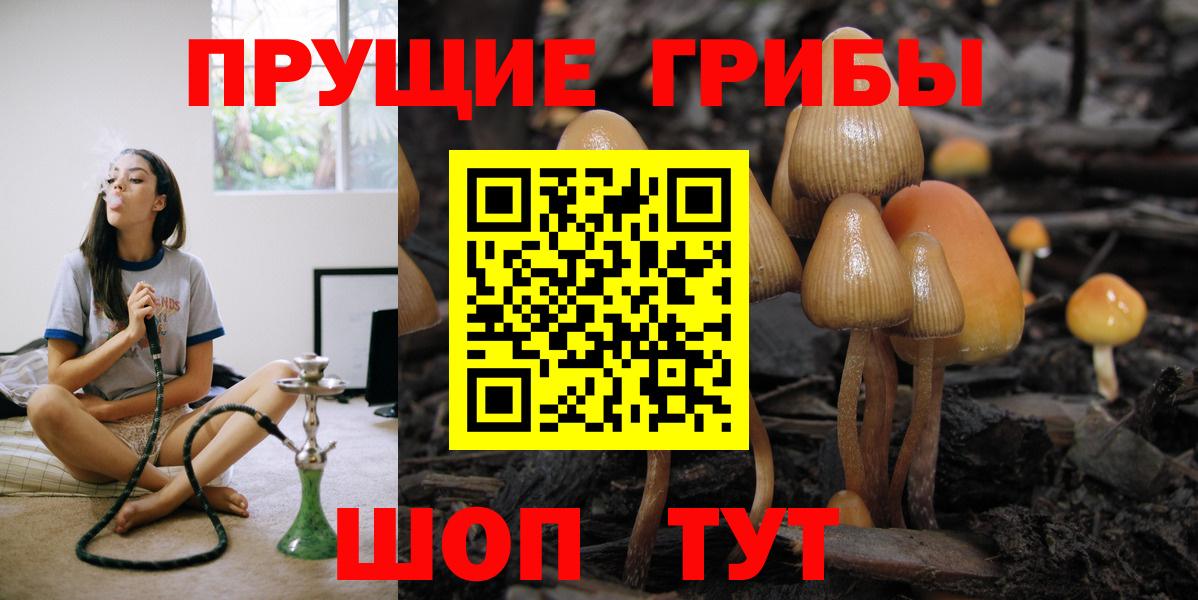 Псилоцибиновые грибы ЛСД Коркино