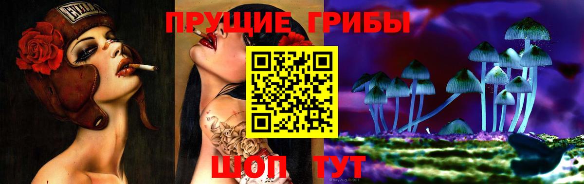 Галлюциногенные грибы Psilocybe  Вход с VPN  Коркино 
